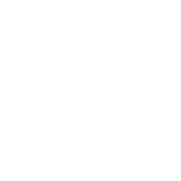 便携式仪表